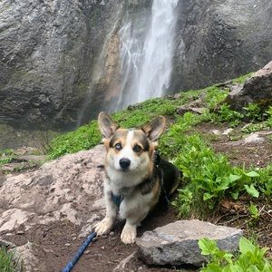 Meet your Posher, Peter